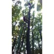 fotografia